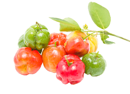 Fruite photo
